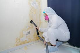 Best Mold Remediation for Healthcare Facilities  in Park Hills, MO